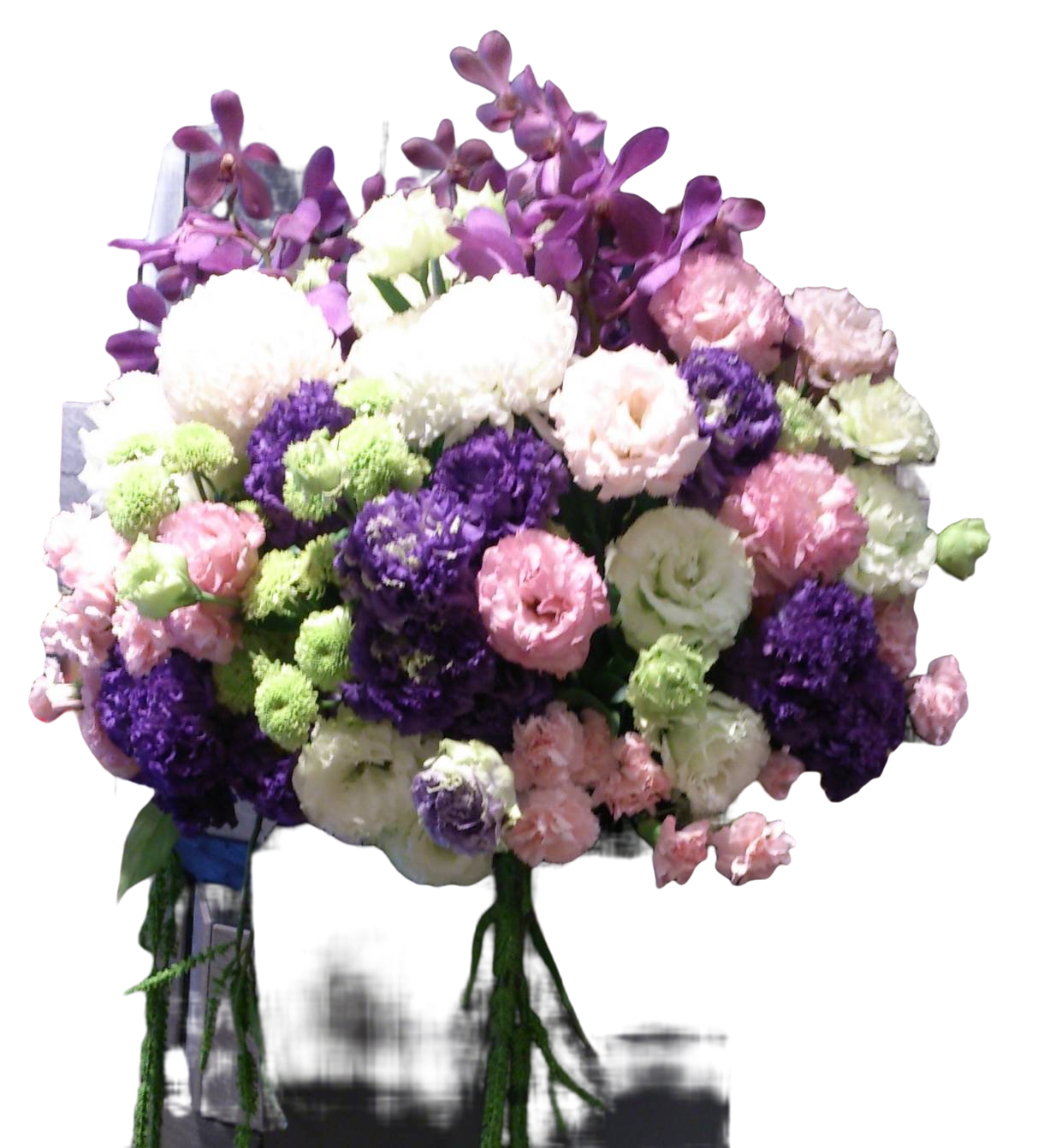 居家生活 會場布置